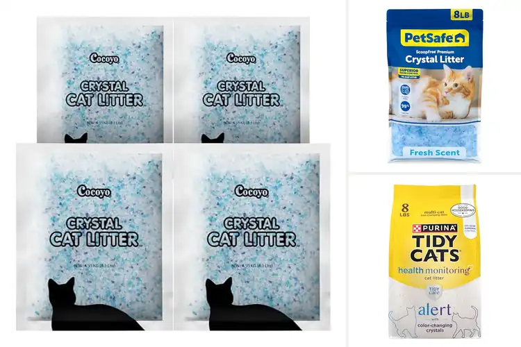 Detailed view of Best Cat Litter Crystals