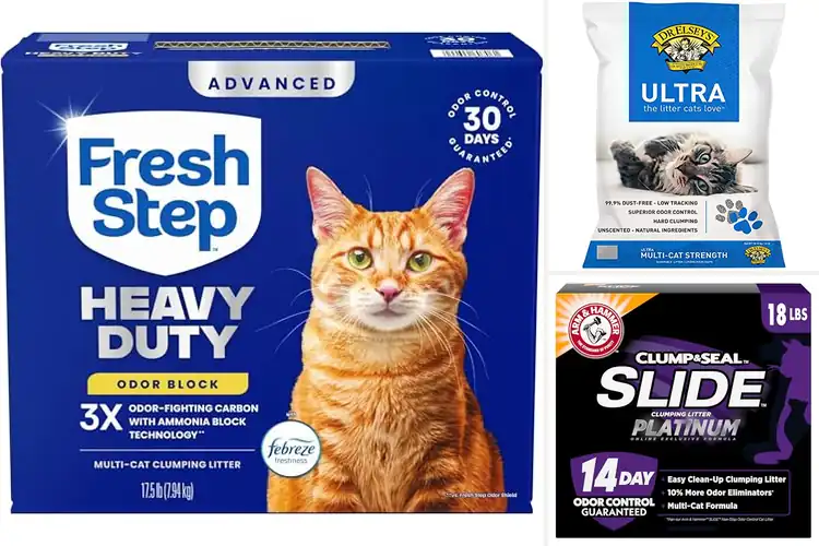 Detailed view of Best Cat Litter For Odor Control: Top Picks for a Fresh Home