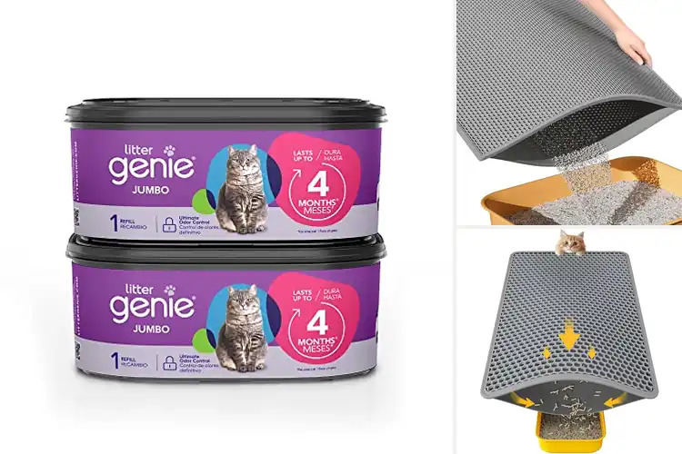 Detailed view of Best Cat Litter Supplies