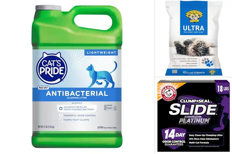 Detailed view of Best Cat Litters for a Clean, Fresh, and Odor-Free Home