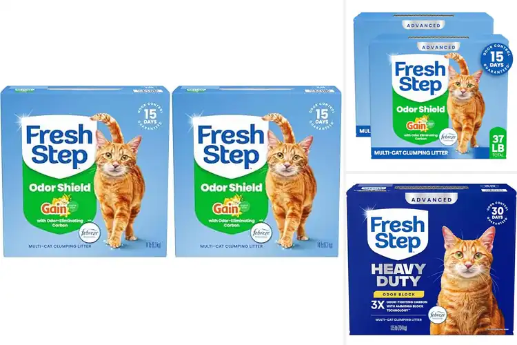 Detailed view of Best Cat Litters With Febreze: Freshness That Lasts