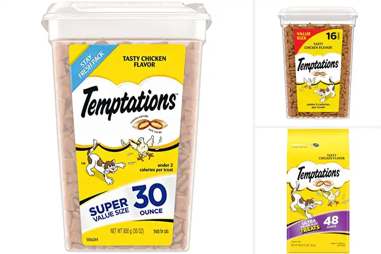 Detailed view of Best Cat Snacks: Top 10 Healthy Treats to Make Your Cat Purr