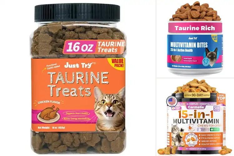 Detailed view of Best Cat Taurine Treats: Tasty, Safe, and Active Pet Guide