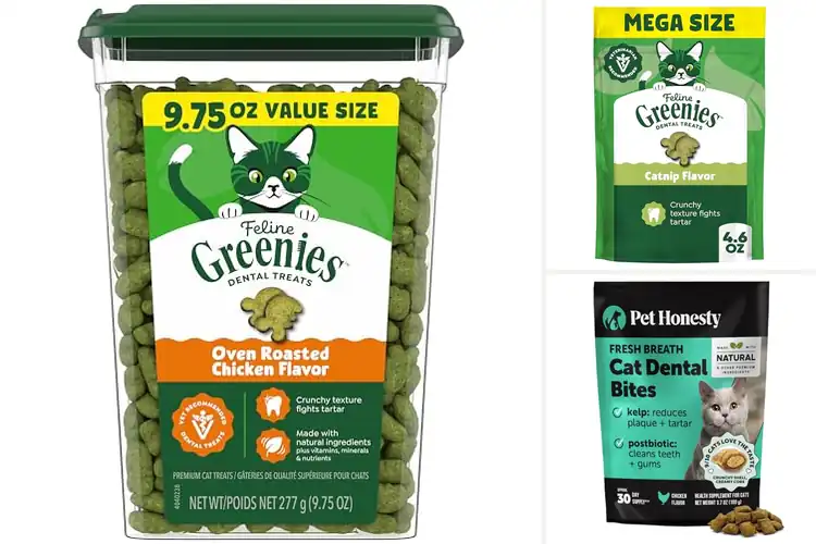 Detailed view of Best Cat Teeth Cleaning Treats: Fresh Breath, Healthy Smiles