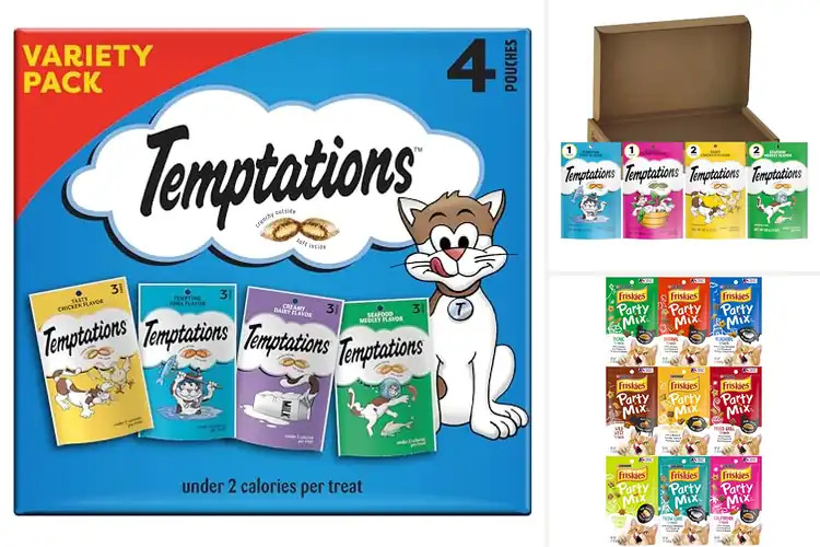 Detailed view of Best Cat Treat Varieties