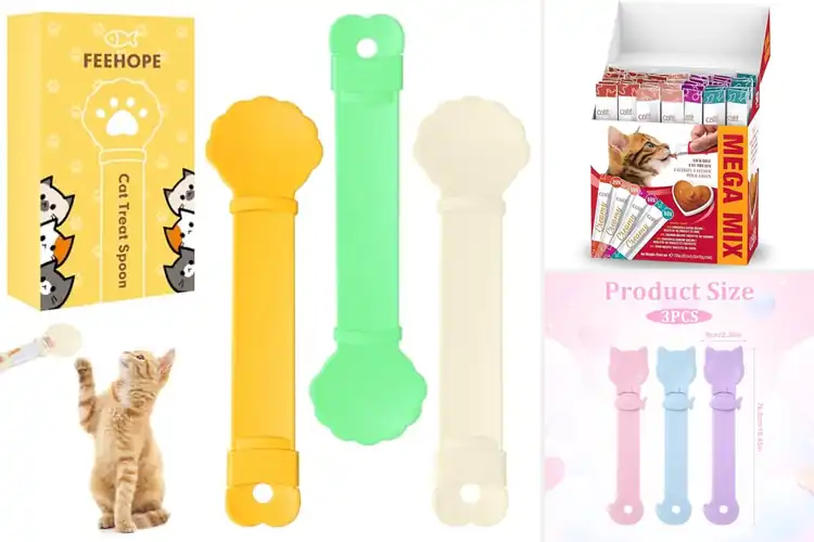 Detailed view of Best Cat Treats For Hand Feeding: Bond & Delight