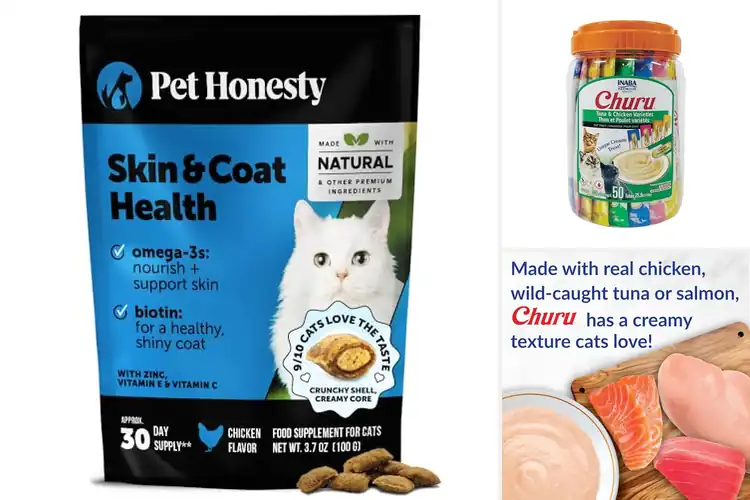 Detailed view of Best Cat Treats With Vitamin E: Top 10 Healthy & Tasty Picks