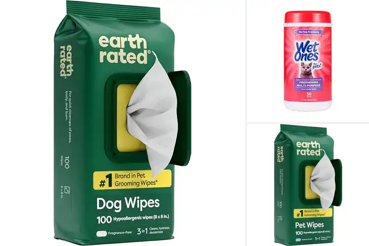 Detailed view of Best Cat Wipes For Cleaning
