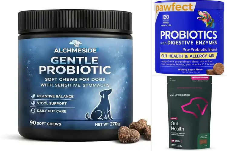 Detailed view of Best Chews For Digestive Tolerance