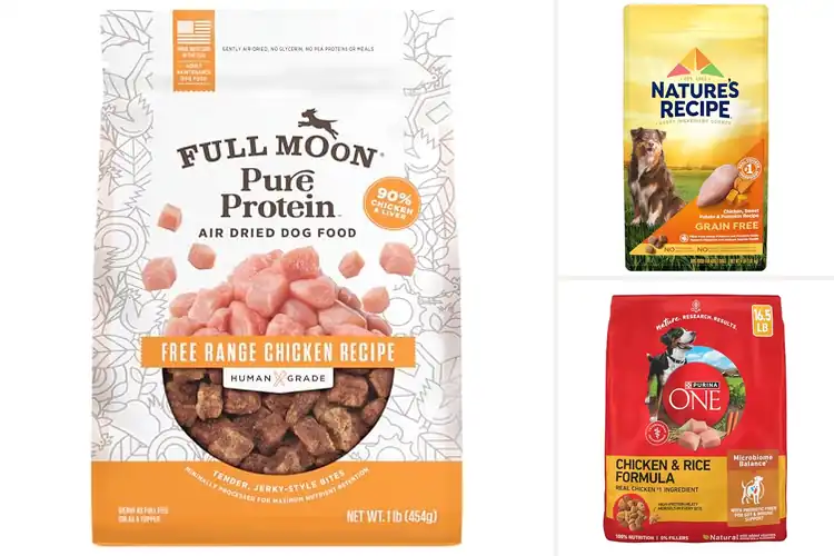 Detailed view of Best Chicken-Based Dry Dog Foods