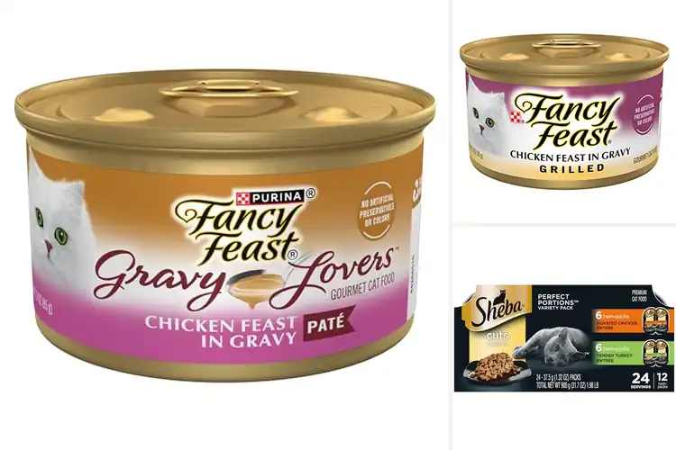 Detailed view of Best Chicken Cat Food With Gravy