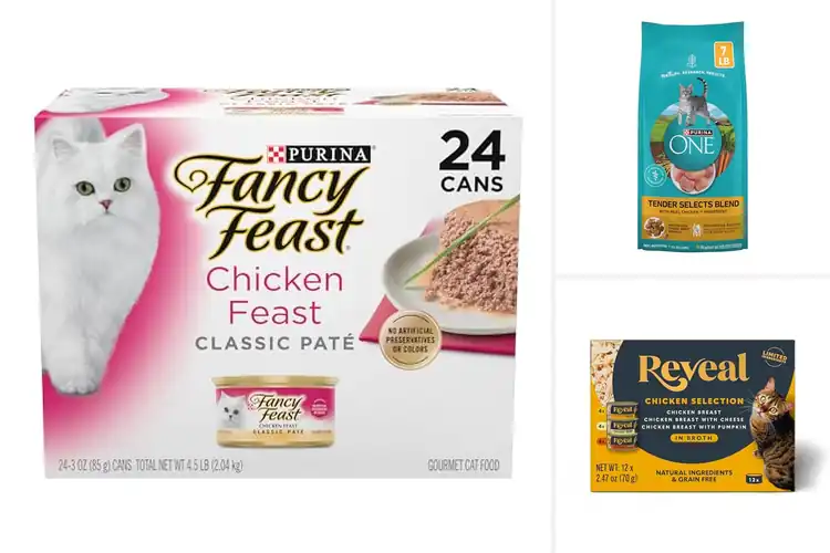 Detailed view of Best Chicken Cat Foods: 10 Top Picks Your Kitty Will Love