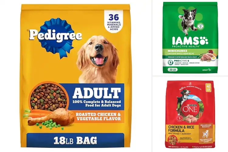 Detailed view of Best Chicken Dry Dog Foods