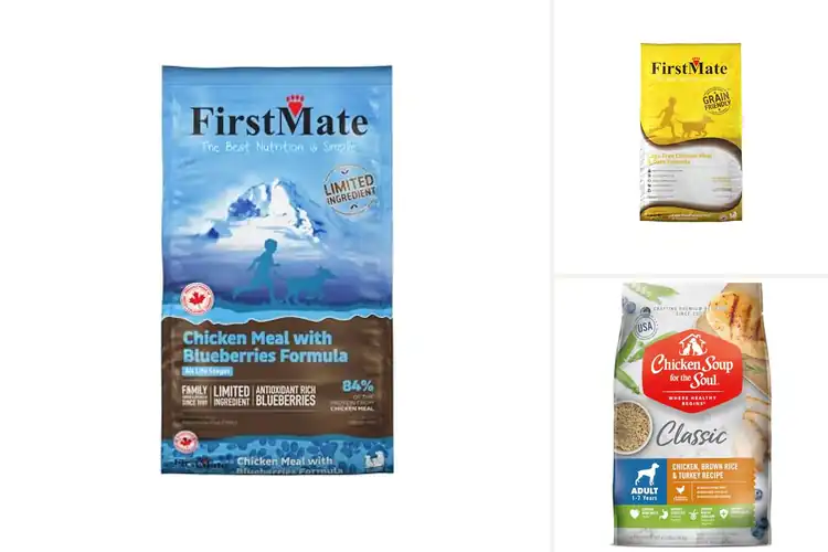 Detailed view of Best Chicken First Dog Foods