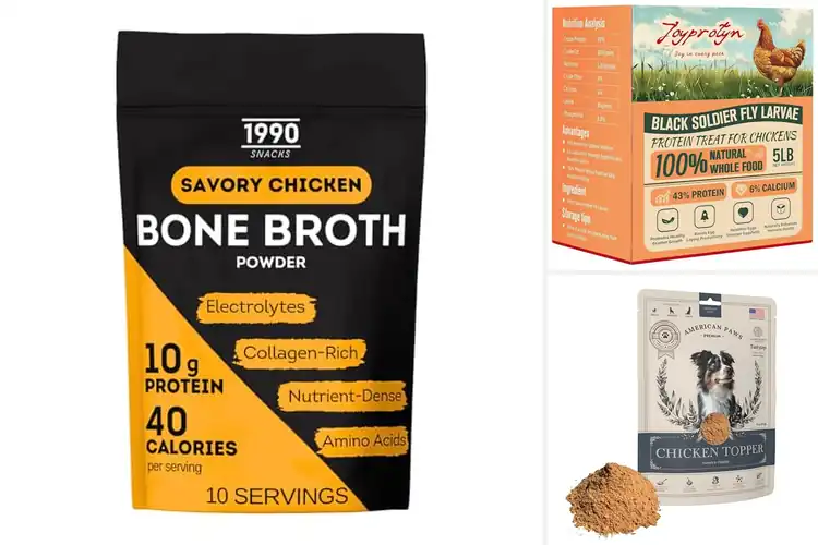 Detailed view of Best Chicken Protein Source: 10 Easy & Delicious Boosters