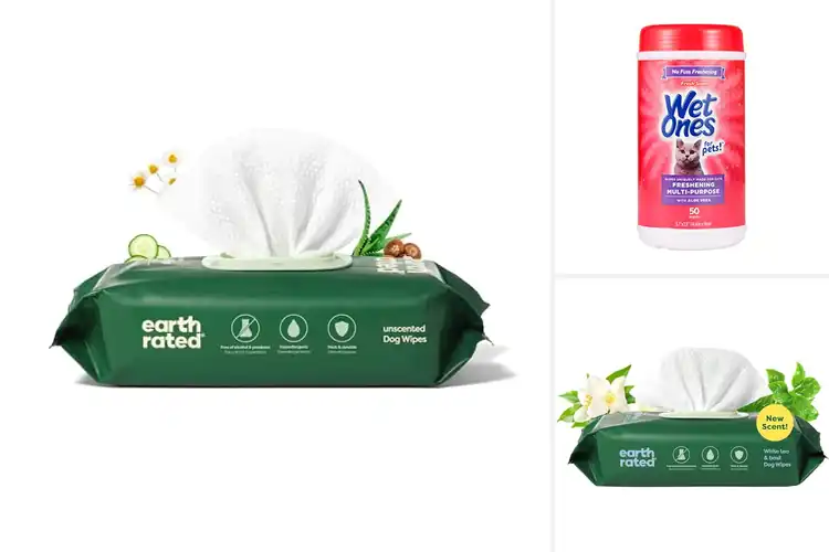 Detailed view of Best Cleaning Pet Wipes