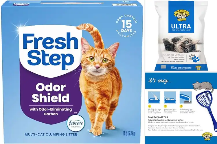 Detailed view of Best Clumping Cat Litters for Odor Control & Easy Scooping