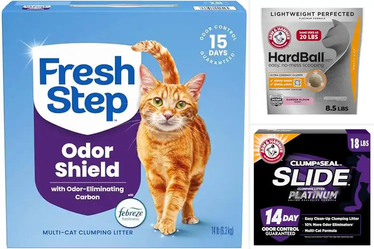 Detailed view of Best Clumping Litter For Easy Scooping
