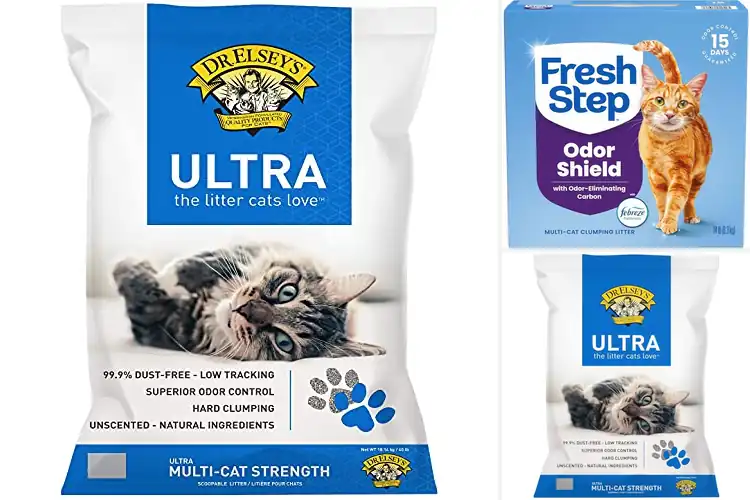 Detailed view of Best Clumping Litter