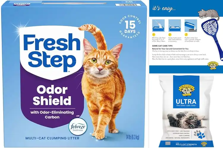 Detailed view of Best Clumping Litters