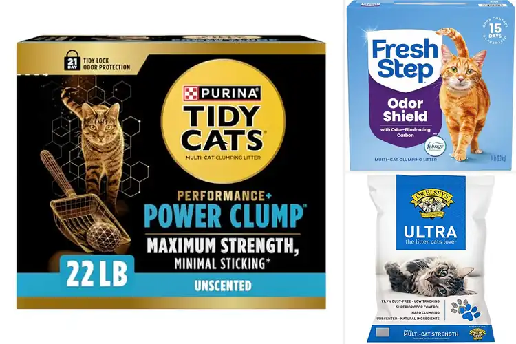 Detailed view of Best Clumping Power Kitty Litter