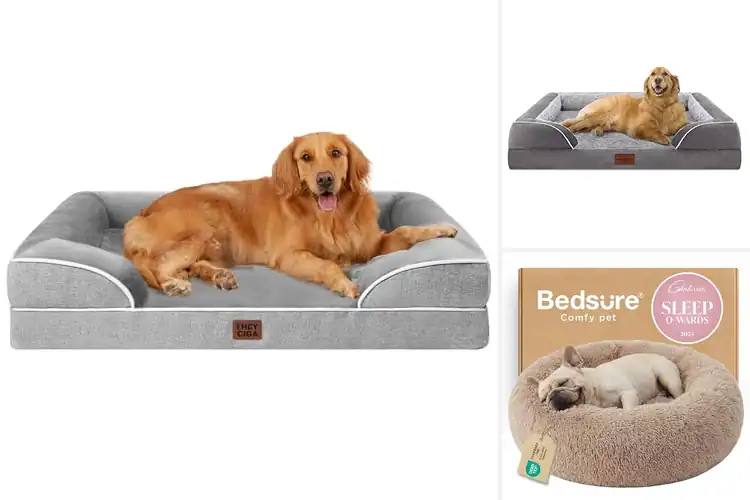Detailed view of Best Comfortable Dog Beds for Cozy, Happy Pets