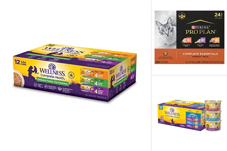 Detailed view of Best Complete And Balanced Cat Food Cans
