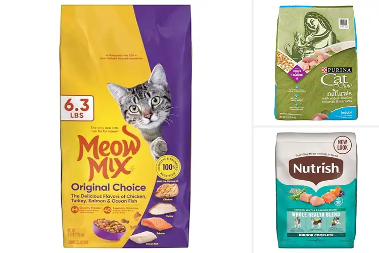 Detailed view of Best Complete And Balanced Cat Food