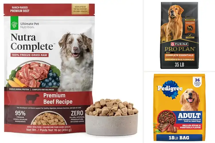 Detailed view of Best Complete Dog Foods: Top 10 Reviews for Happier Pets