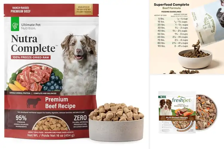 Detailed view of Best Complete Dog Meals: 10 Top Picks for Premium Nutrition