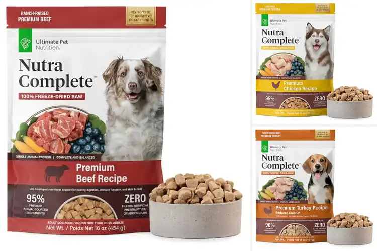 Detailed view of Best Complete Nutrition Dog Foods