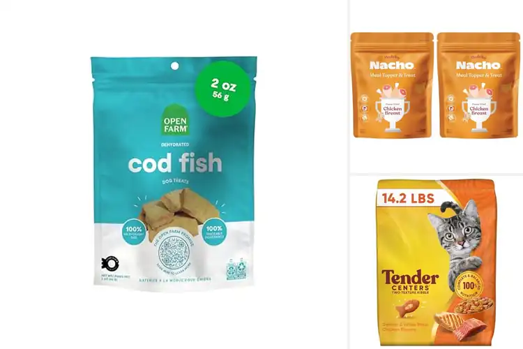 Detailed view of Best Crunchy Kibble Texture