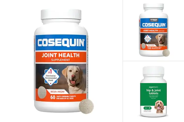 Detailed view of Best Daily Chewable Joint Health Tablets For Dogs