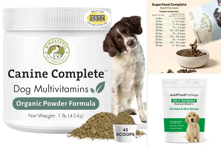 Detailed view of Best Daily Nutrition Dog Foods: Top Picks for a Healthy Pup