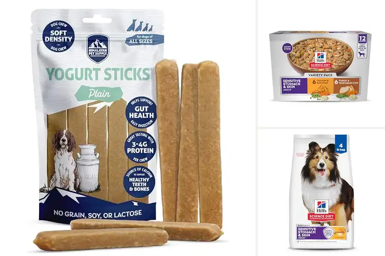 Detailed view of Best Digestible Dog Foods for Happy, Healthy Tummies