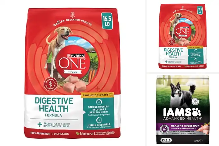 Detailed view of Best Digestive Health Dog Foods