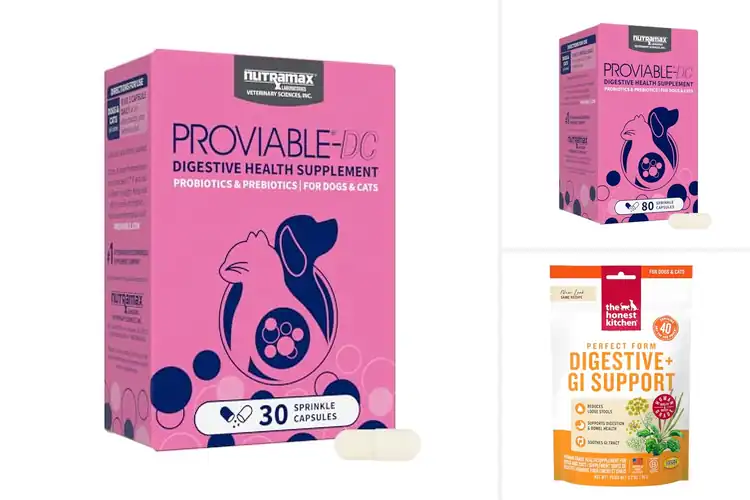 Detailed view of Best Digestive Supplements for Cats and Dogs
