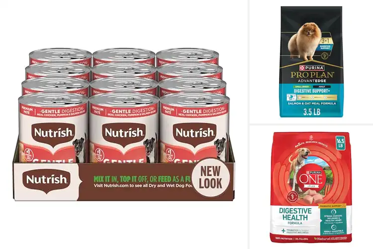 Detailed view of Best Digestive Support Dog Foods