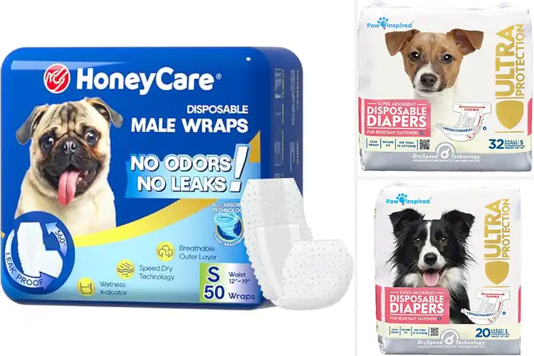 Detailed view of Best Disposable Dog Diapers