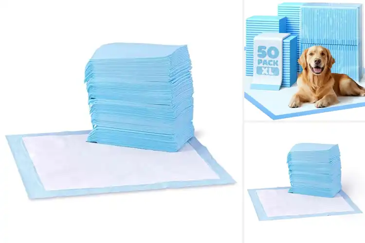 Detailed view of Best Disposable Dog Pads