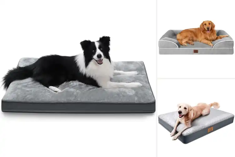 Detailed view of Best Dog Beds With Washable Covers for Easy Cleaning Comfort
