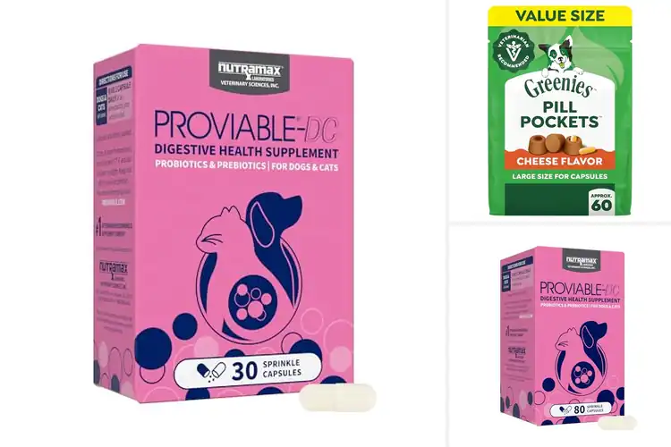 Detailed view of Best Dog Capsules to Boost Health, Immunity & Digestion