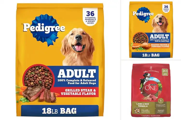 Detailed view of Best Dog Food For Adult Dogs