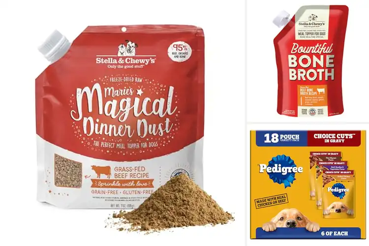 Detailed view of Best Dog Food Toppers