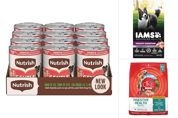 Detailed view of Best Dog Foods For Digestion