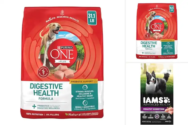 Detailed view of Best Dog Foods For Digestive Health