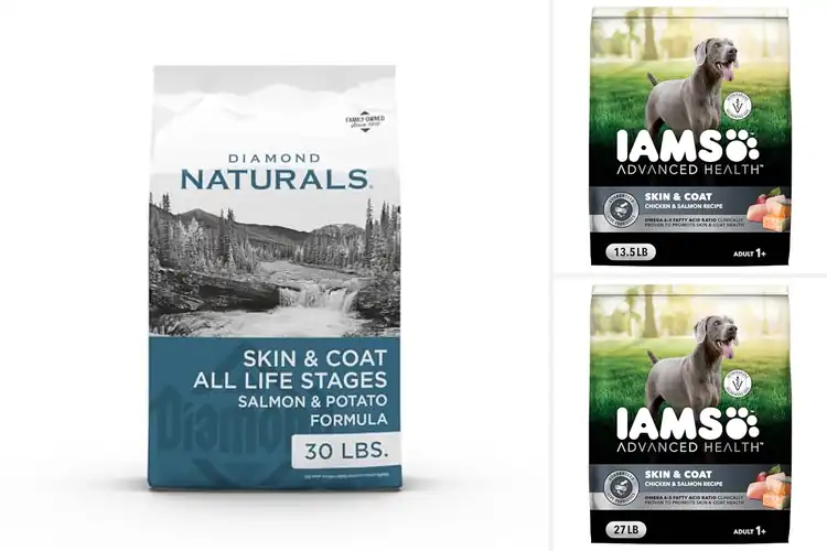 Detailed view of Best Dog Foods for Healthy Coat: Top Picks for Shiny Fur