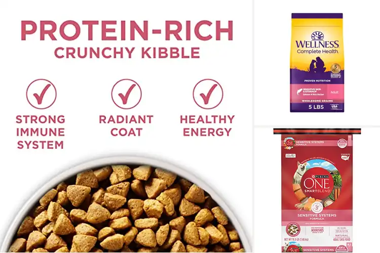 Detailed view of Best Dog Foods for Healthy Skin: Nourish Your Pup’s Glow