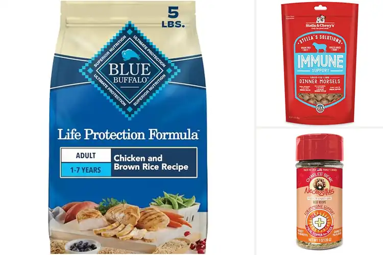 Detailed view of Best Dog Foods for Immune Support: Top 10 Healthy Picks