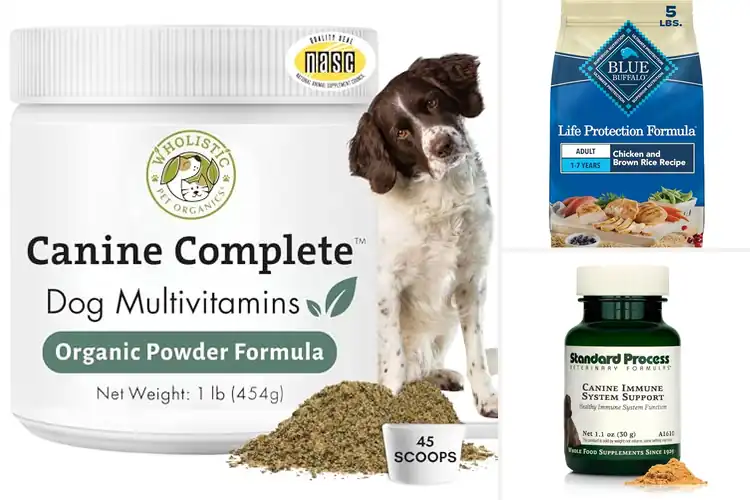 Detailed view of Best Dog Foods For Immune System: Top 10 Picks & Tips